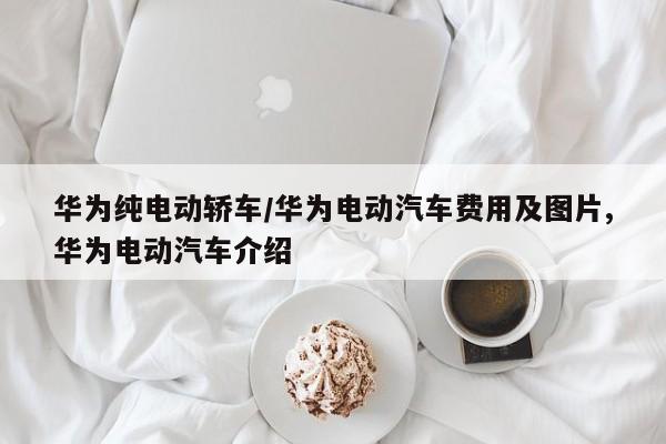 华为纯电动轿车/华为电动汽车费用及图片,华为电动汽车介绍