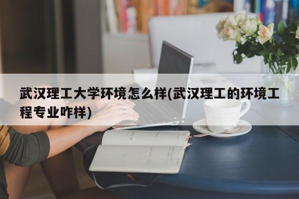 武汉理工大学环境怎么样(武汉理工的环境工程专业咋样)